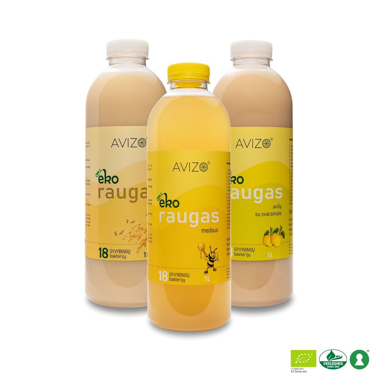 AVIZO raugų rinkinys (3 vnt.)